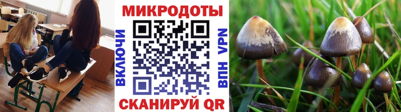 OMG ТОР  Нефтекумск  Псилоцибиновые грибы Psilocybe  купить закладку 
