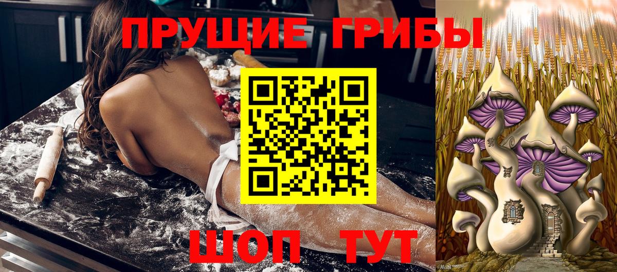 Псилоцибиновые грибы мухоморы Нефтекумск